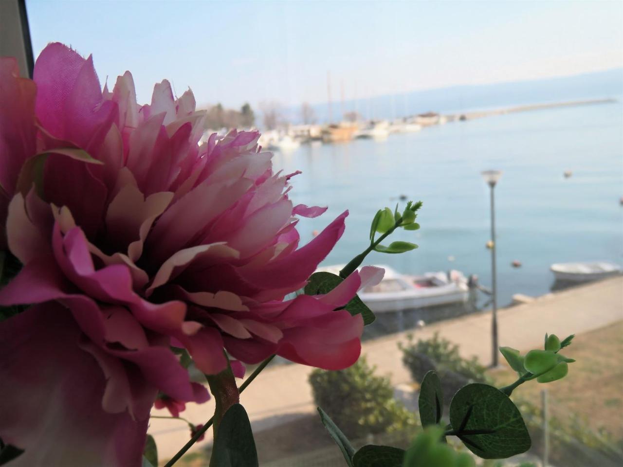 Apartment Lora أوميس المظهر الخارجي الصورة